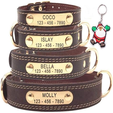 etsy dog collars with name